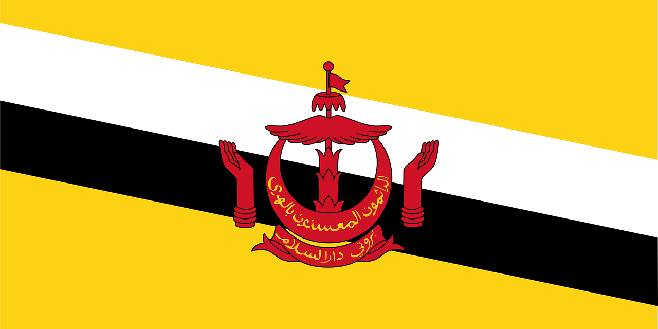 Drapeau Brunei